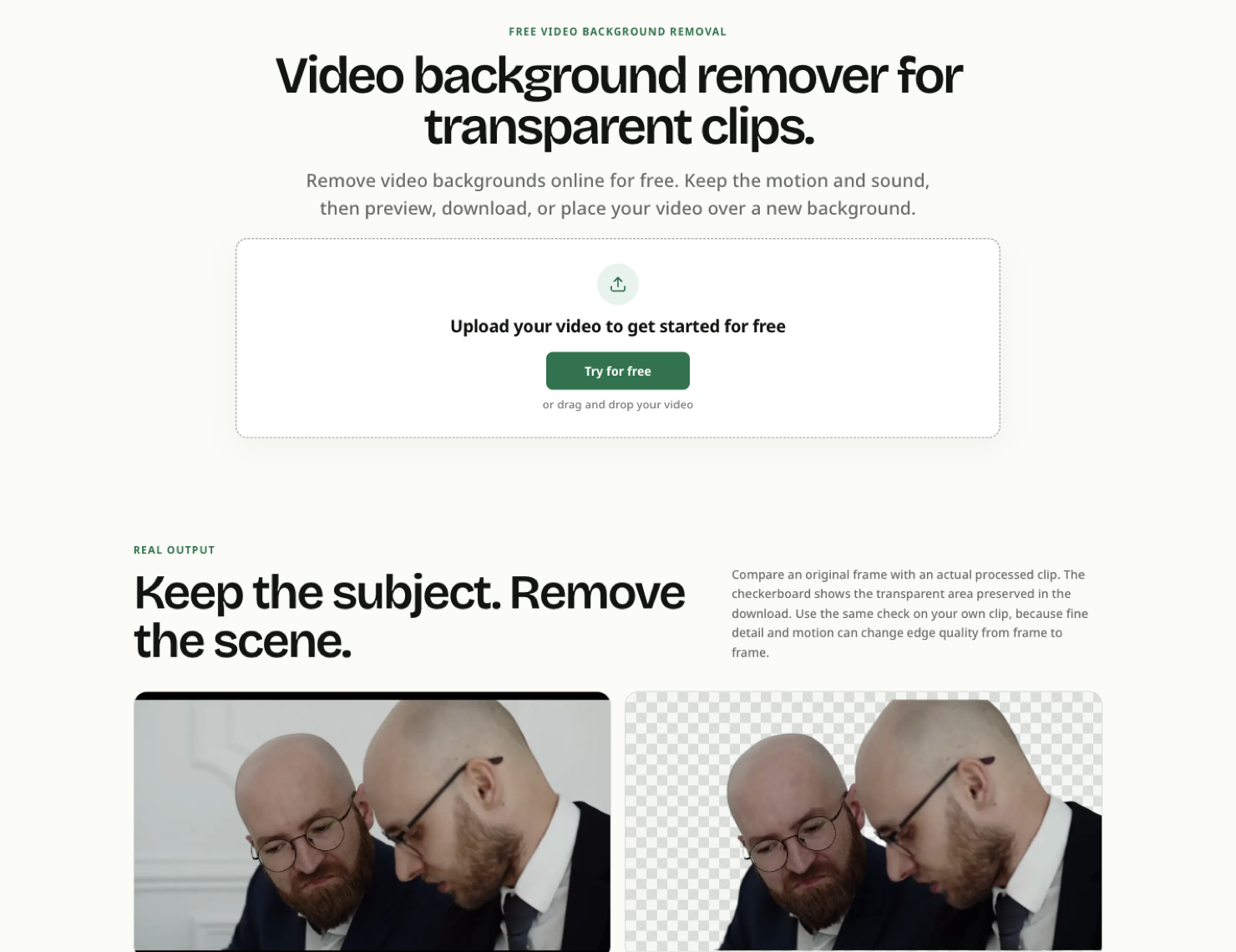 VideoBGRemover
